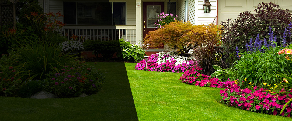 Olivia Landscapers